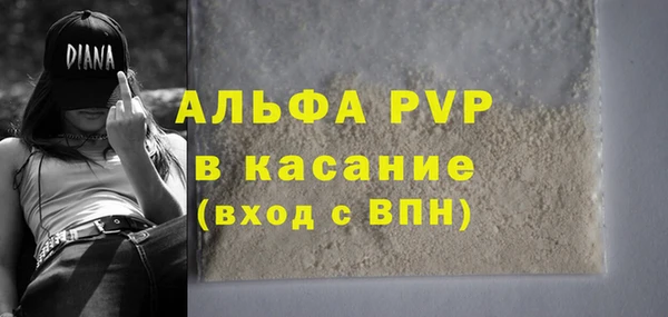 apvp Кукмор