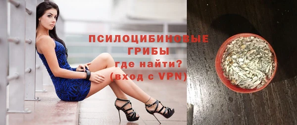 apvp Кукмор