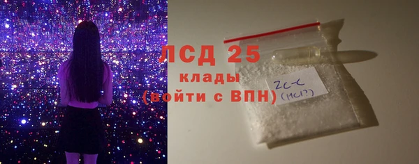 сатива Кулебаки