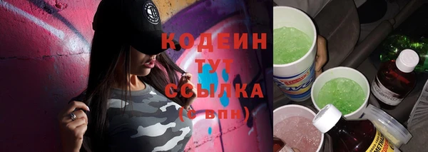 сатива Кулебаки