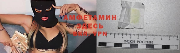 сатива Кулебаки