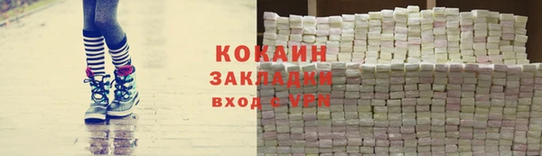 сатива Кулебаки