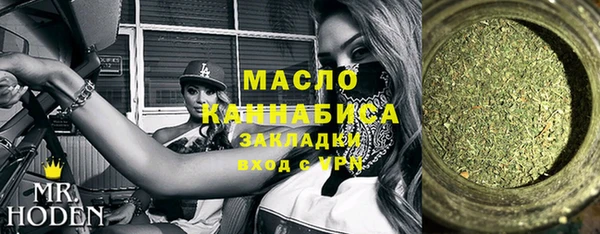 сатива Кулебаки