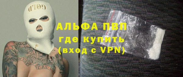 сатива Кулебаки