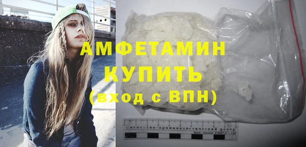 сатива Кулебаки