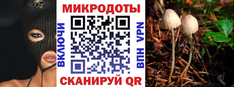 Купить закладки  Баксан  Псилоцибиновые грибы Magic Shrooms 