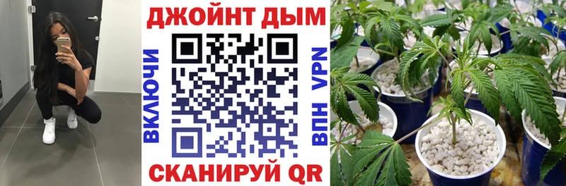 Купить закладки  Баксан  Бошки Шишки SATIVA & INDICA 